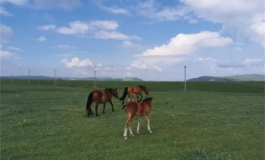 Huitengxile Grassland