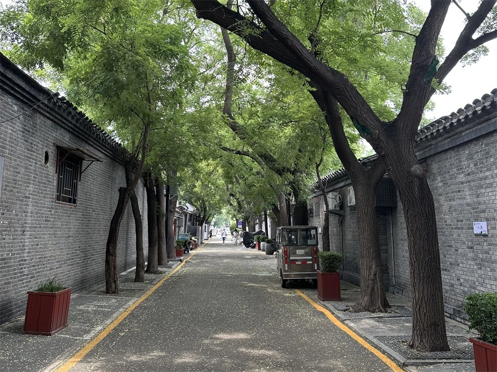 Hutong