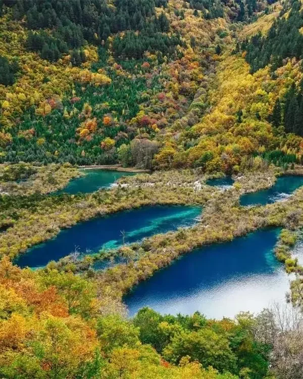 Jiuzhaigou Scenic Area