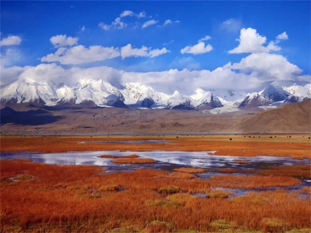 Moustagh Glacier Park