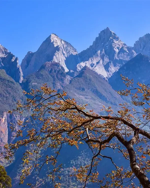 The Tiger Leaping Gorge Scenic Area