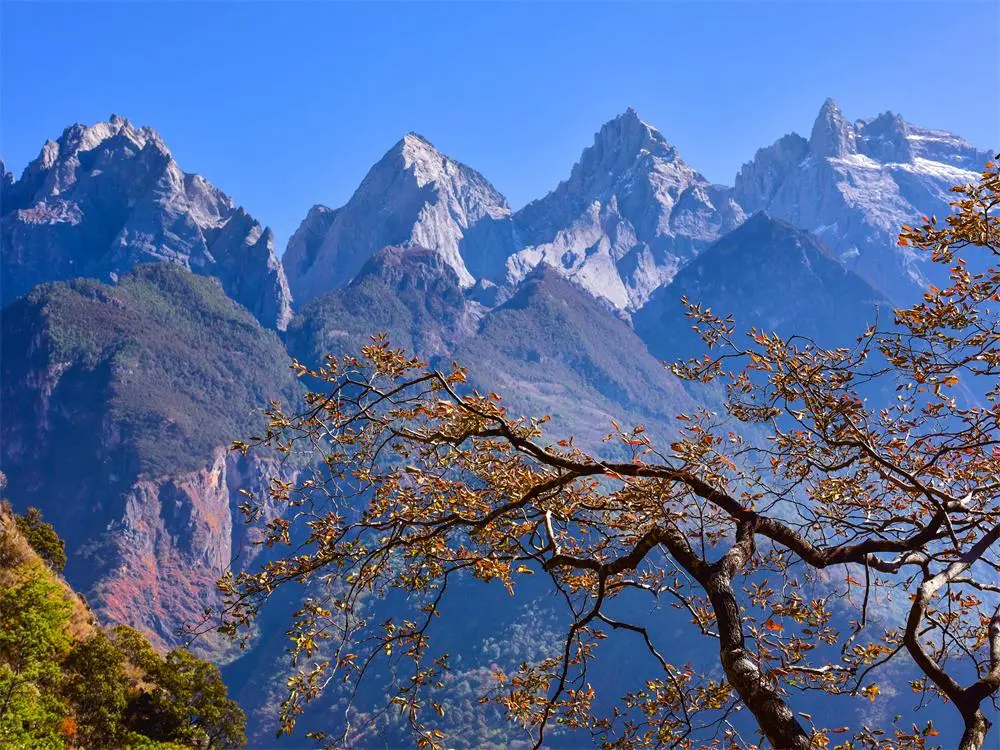 The Tiger Leaping Gorge Scenic Area
