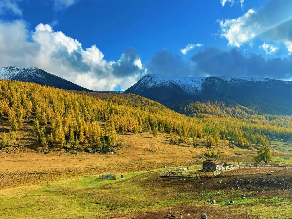 “oil-painting corridor”