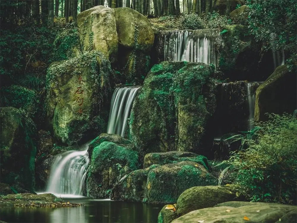 the scenery of Tiger Hill